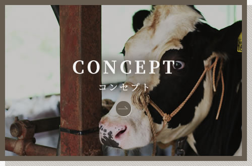 コンセプト