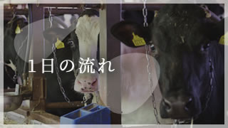 1日の流れ