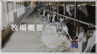 牧場概要